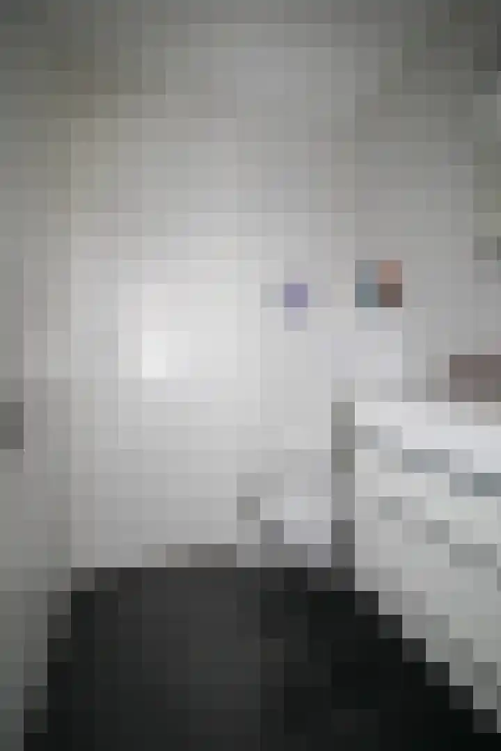 Harremaatweg 46 15 Voorthuizen thumbnail 23