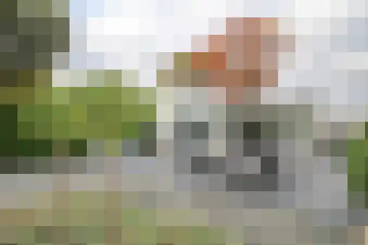 Harremaatweg 46 15 Voorthuizen thumbnail 27