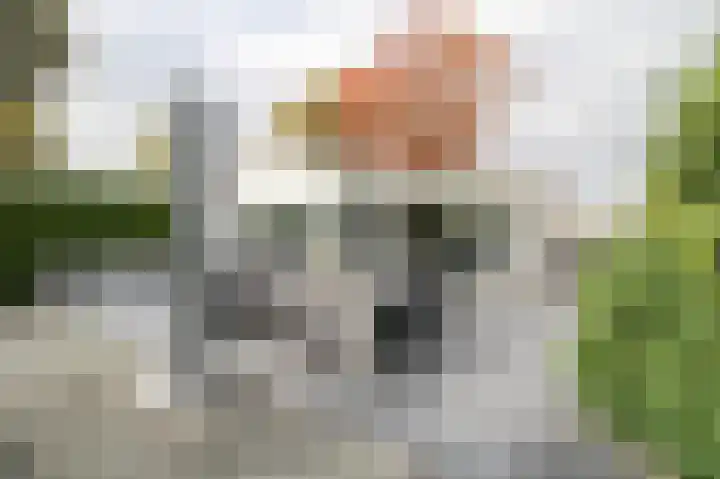 Harremaatweg 46 15 Voorthuizen thumbnail 28