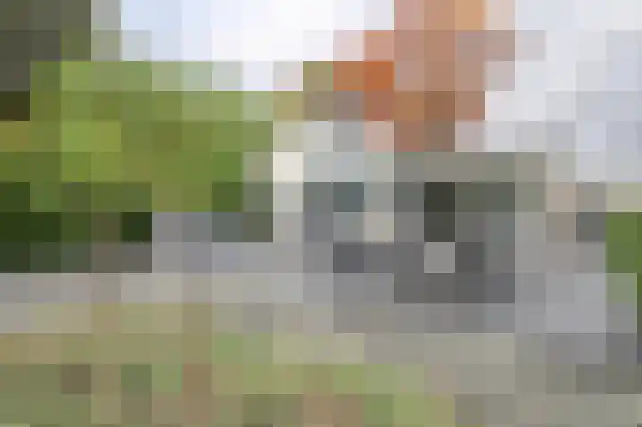 Harremaatweg 46 15 Voorthuizen thumbnail 29