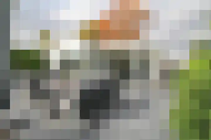 Harremaatweg 46 15 Voorthuizen thumbnail 30
