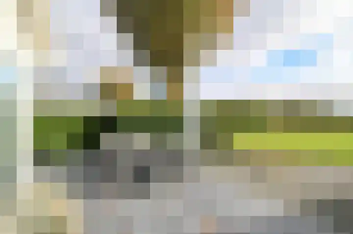 Harremaatweg 46 15 Voorthuizen thumbnail 33