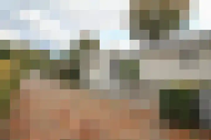 Harremaatweg 46 15 Voorthuizen thumbnail 38