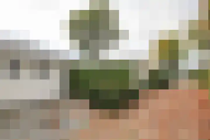 Harremaatweg 46 15 Voorthuizen thumbnail 39