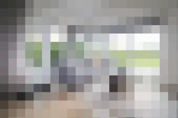 Harremaatweg 46 15 Voorthuizen thumbnail 4