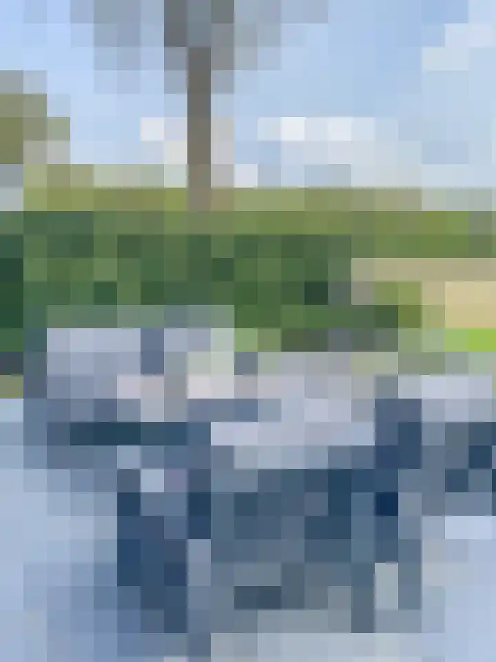Harremaatweg 46 15 Voorthuizen thumbnail 41