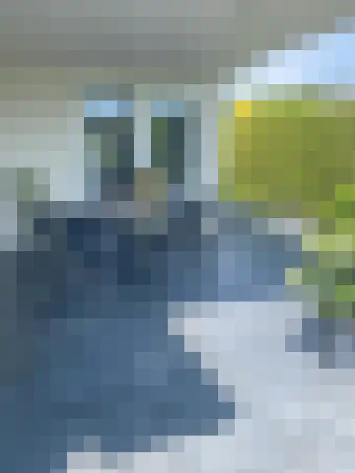Harremaatweg 46 15 Voorthuizen thumbnail 45
