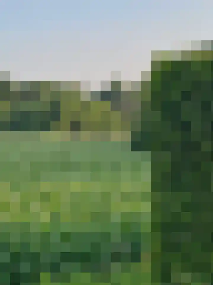 Harremaatweg 46 15 Voorthuizen thumbnail 46