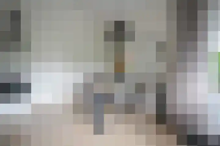 Harremaatweg 46 15 Voorthuizen thumbnail 6