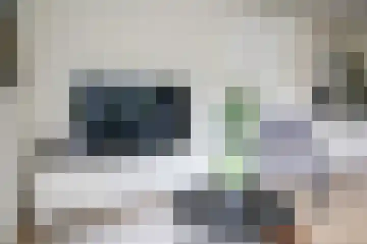 Harremaatweg 46 15 Voorthuizen thumbnail 8