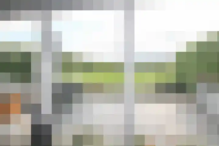 Harremaatweg 46 15 Voorthuizen thumbnail 9