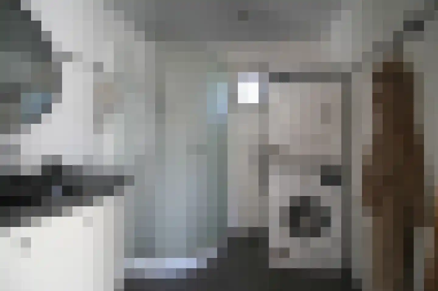 Harremaatweg 46 18 Voorthuizen thumbnail 11