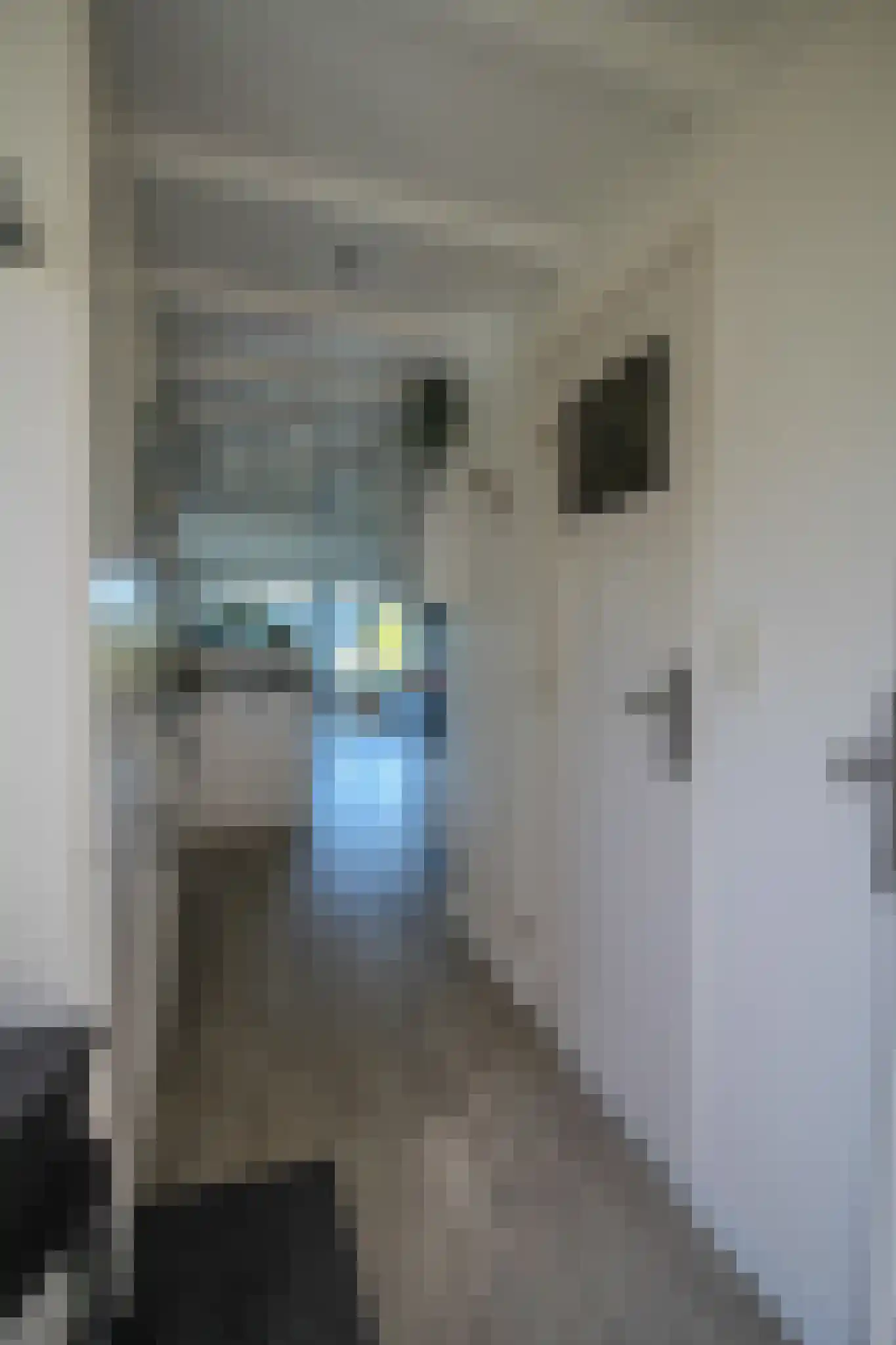 Harremaatweg 46 18 Voorthuizen thumbnail 17