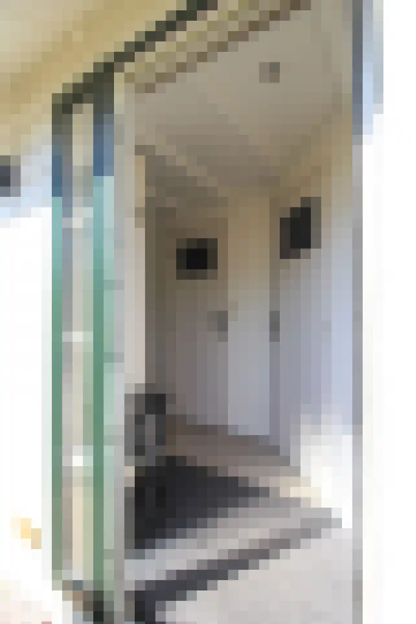 Harremaatweg 46 18 Voorthuizen thumbnail 18
