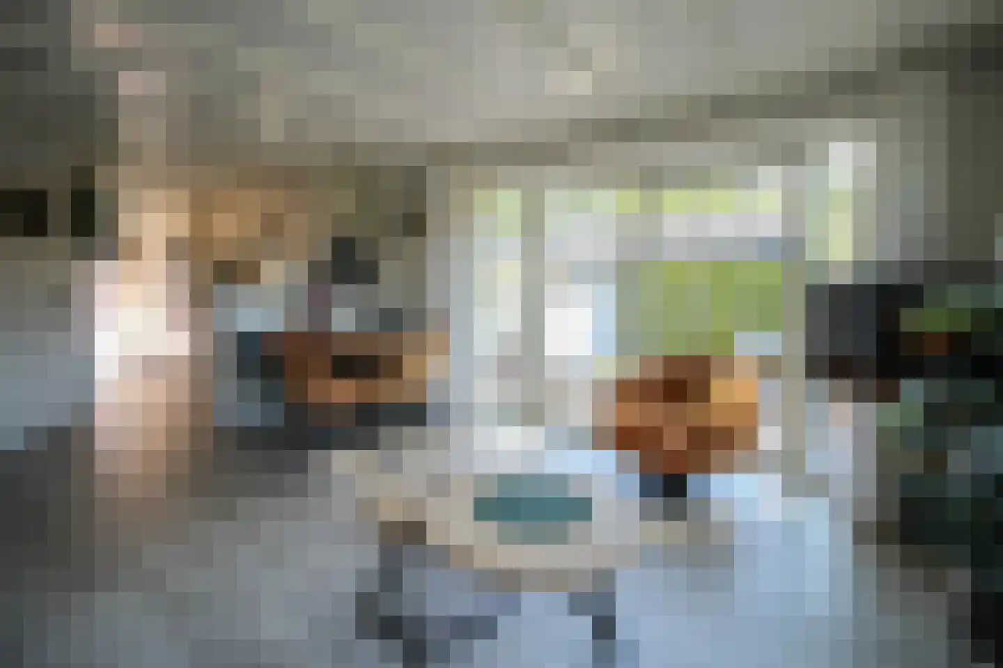 Harremaatweg 46 18 Voorthuizen thumbnail 4