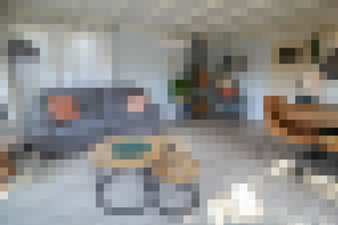Harremaatweg 46 18 Voorthuizen thumbnail 5