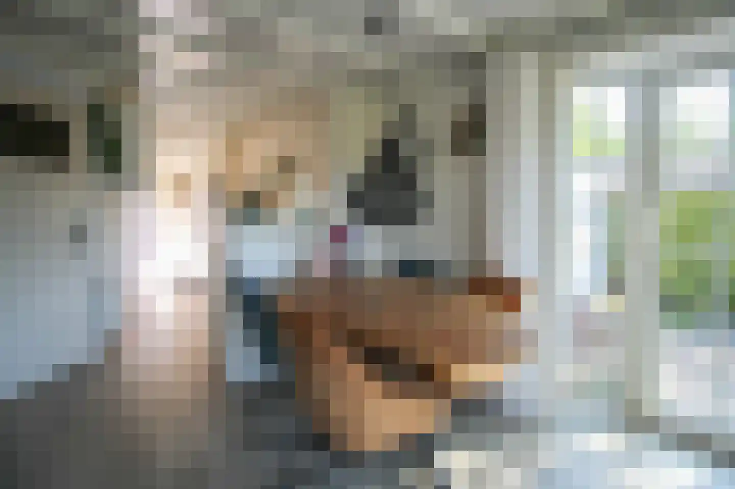 Harremaatweg 46 18 Voorthuizen thumbnail 6