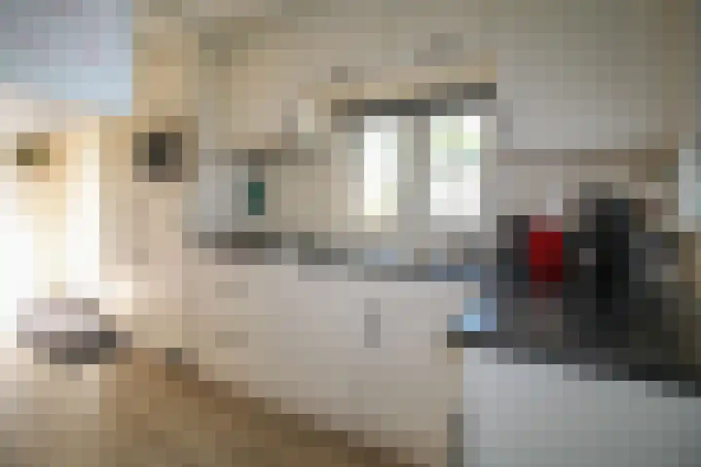 Harremaatweg 46 18 Voorthuizen thumbnail 9