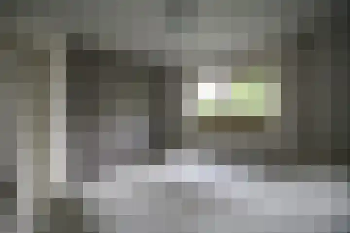 Harremaatweg 46 21 Voorthuizen thumbnail 10