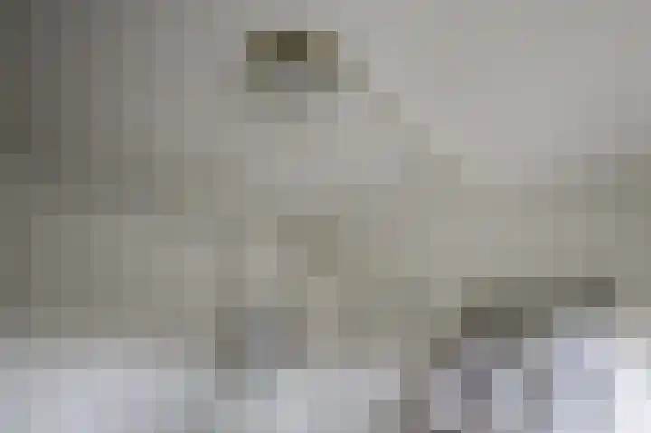 Harremaatweg 46 21 Voorthuizen thumbnail 13