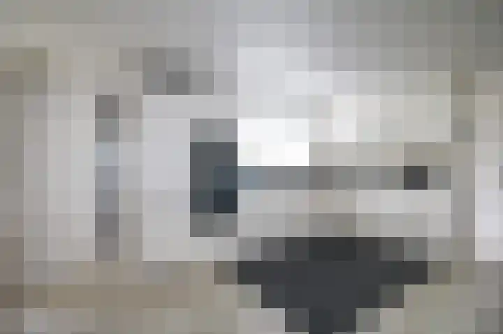 Harremaatweg 46 21 Voorthuizen thumbnail 15