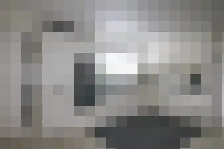 Harremaatweg 46 21 Voorthuizen thumbnail 16