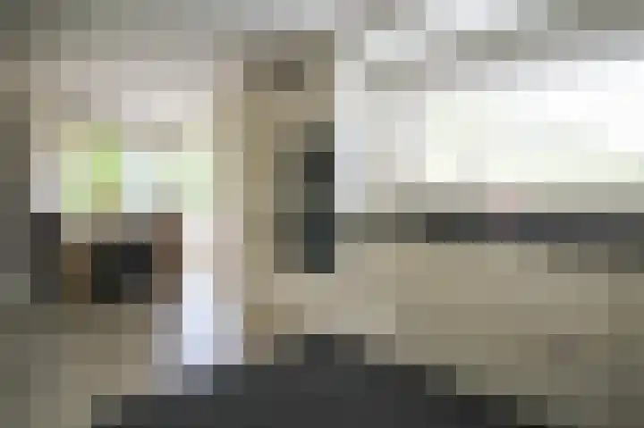 Harremaatweg 46 21 Voorthuizen thumbnail 19