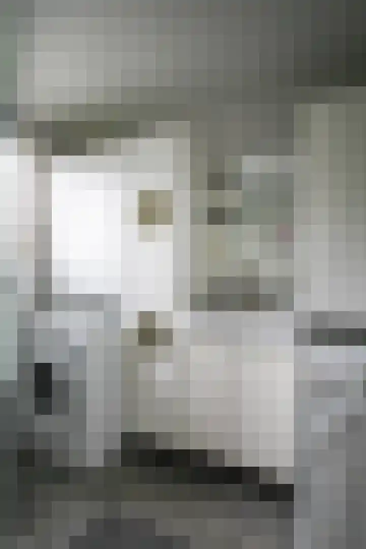 Harremaatweg 46 21 Voorthuizen thumbnail 22