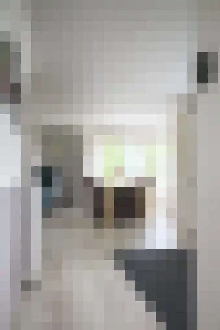 Harremaatweg 46 21 Voorthuizen thumbnail 24