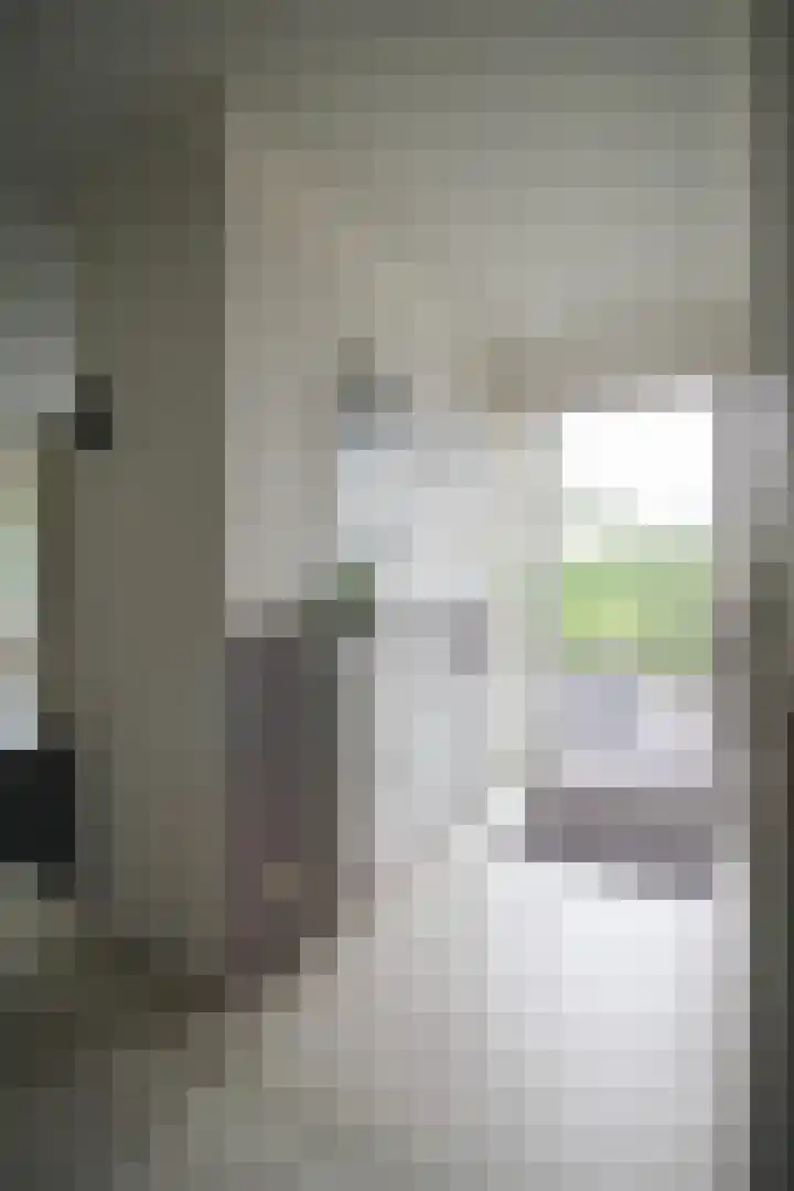 Harremaatweg 46 21 Voorthuizen thumbnail 27
