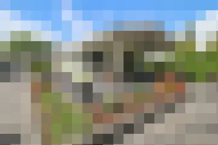 Harremaatweg 46 21 Voorthuizen thumbnail 32