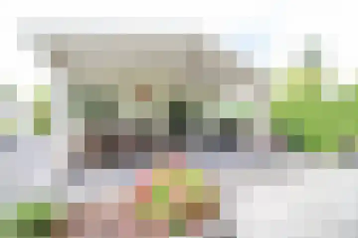 Harremaatweg 46 21 Voorthuizen thumbnail 33