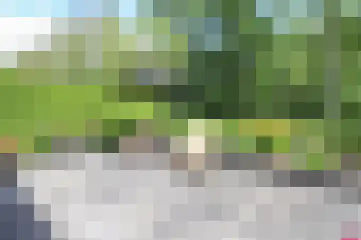 Harremaatweg 46 21 Voorthuizen thumbnail 35