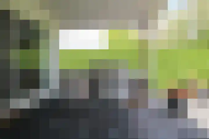 Harremaatweg 46 21 Voorthuizen thumbnail 36