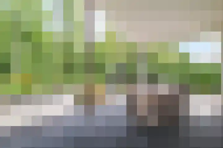 Harremaatweg 46 21 Voorthuizen thumbnail 37