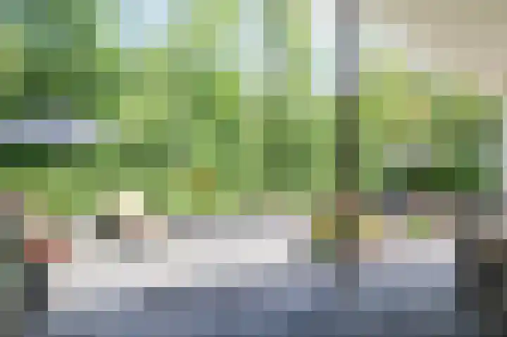 Harremaatweg 46 21 Voorthuizen thumbnail 38