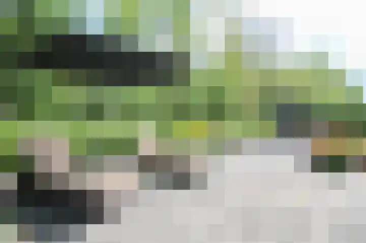 Harremaatweg 46 21 Voorthuizen thumbnail 40