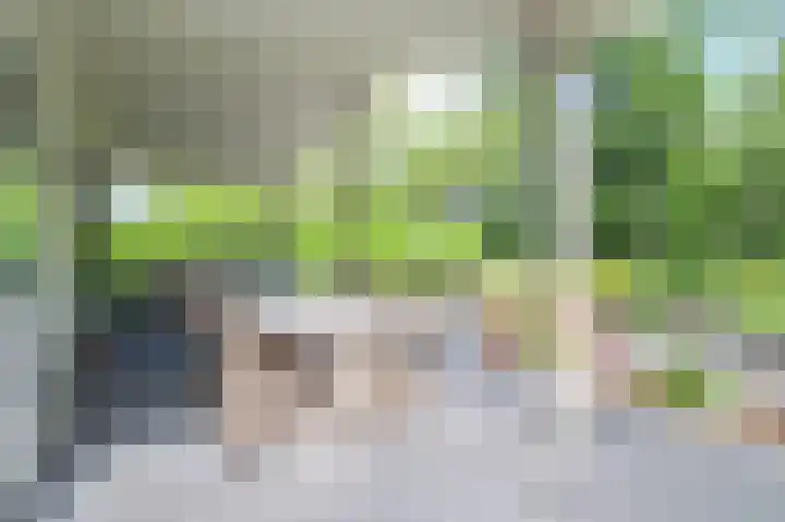 Harremaatweg 46 21 Voorthuizen thumbnail 41