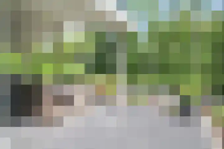 Harremaatweg 46 21 Voorthuizen thumbnail 42