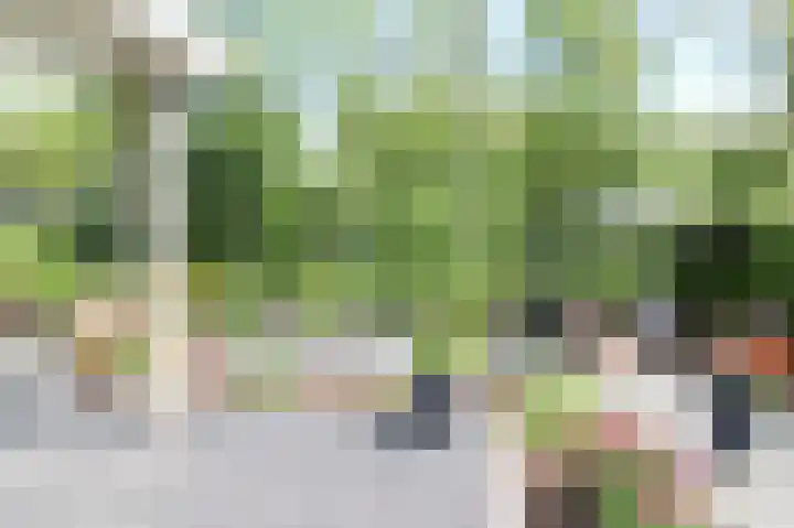 Harremaatweg 46 21 Voorthuizen thumbnail 43
