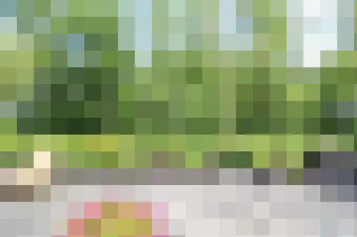 Harremaatweg 46 21 Voorthuizen thumbnail 44