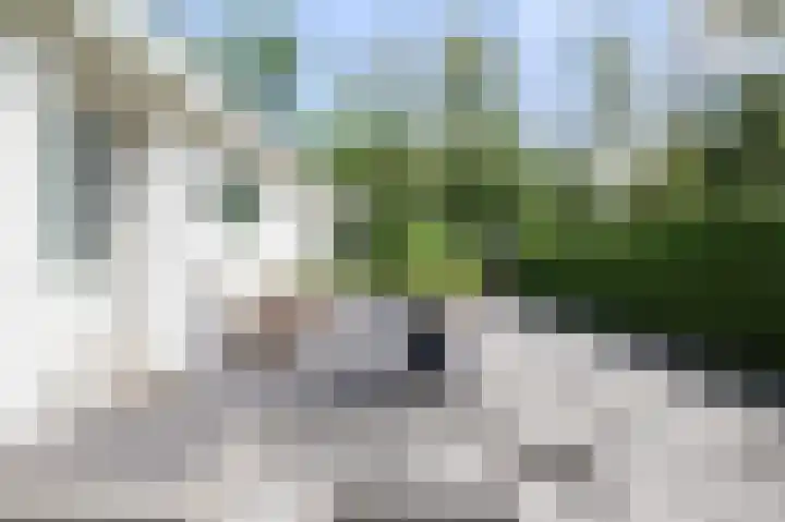 Harremaatweg 46 21 Voorthuizen thumbnail 49