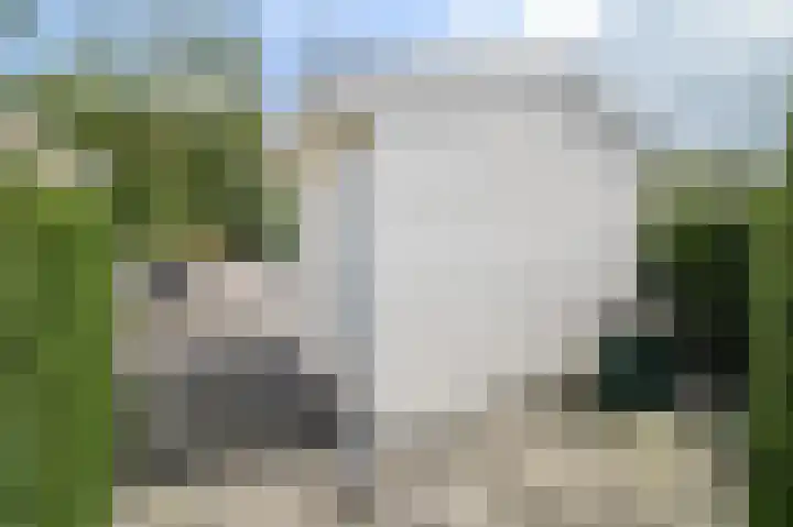 Harremaatweg 46 21 Voorthuizen thumbnail 51
