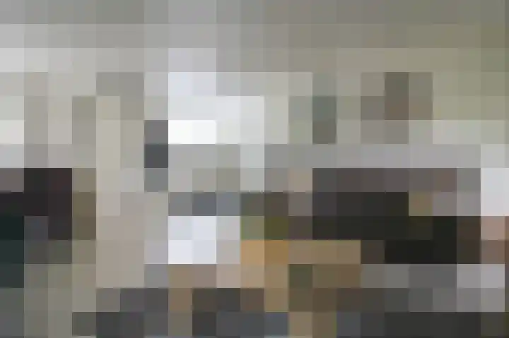 Harremaatweg 46 21 Voorthuizen thumbnail 6