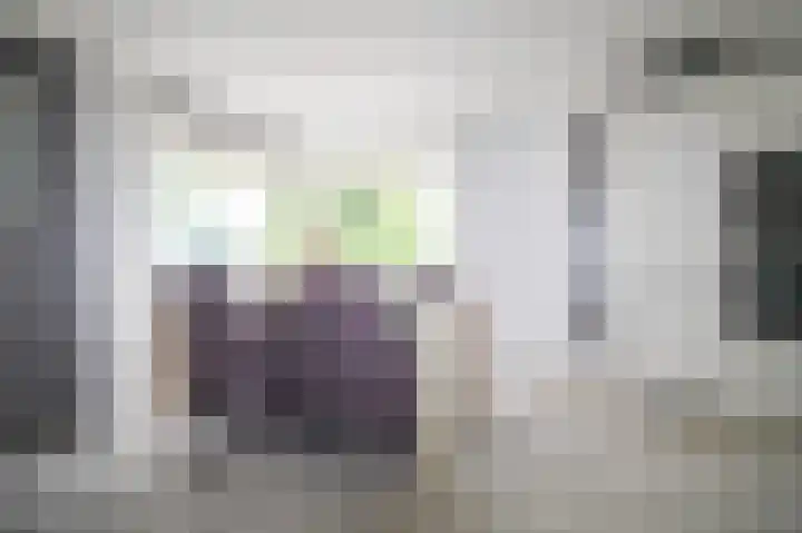Harremaatweg 46 21 Voorthuizen thumbnail 8