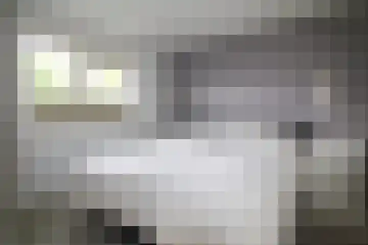 Harremaatweg 46 21 Voorthuizen thumbnail 9