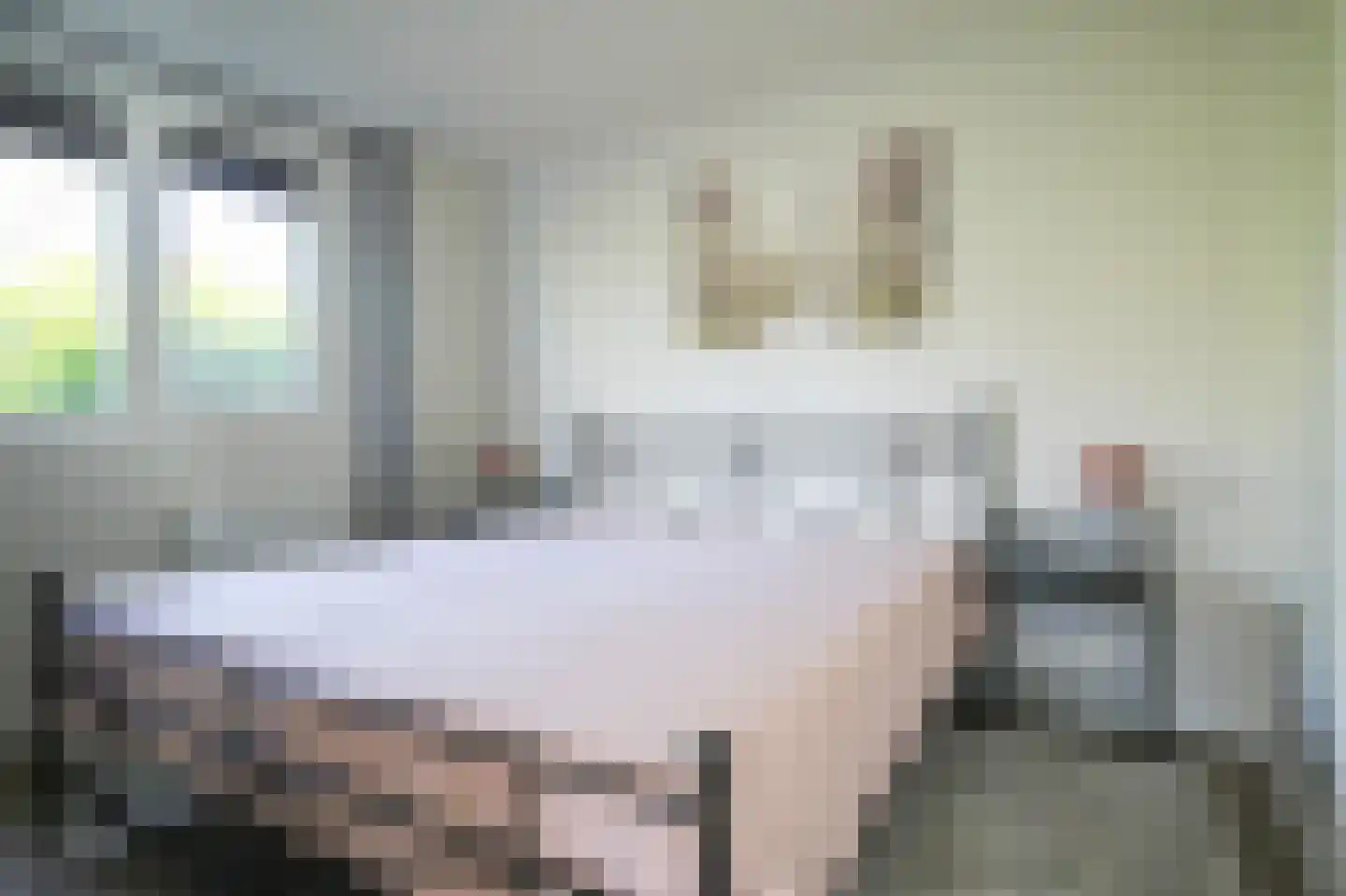 Harremaatweg 46 26 Voorthuizen thumbnail 13