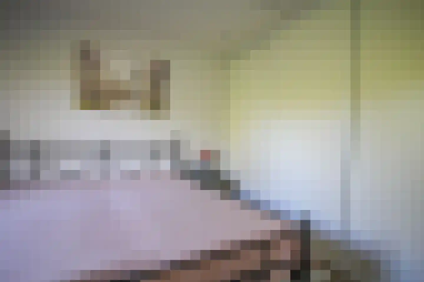Harremaatweg 46 26 Voorthuizen thumbnail 14