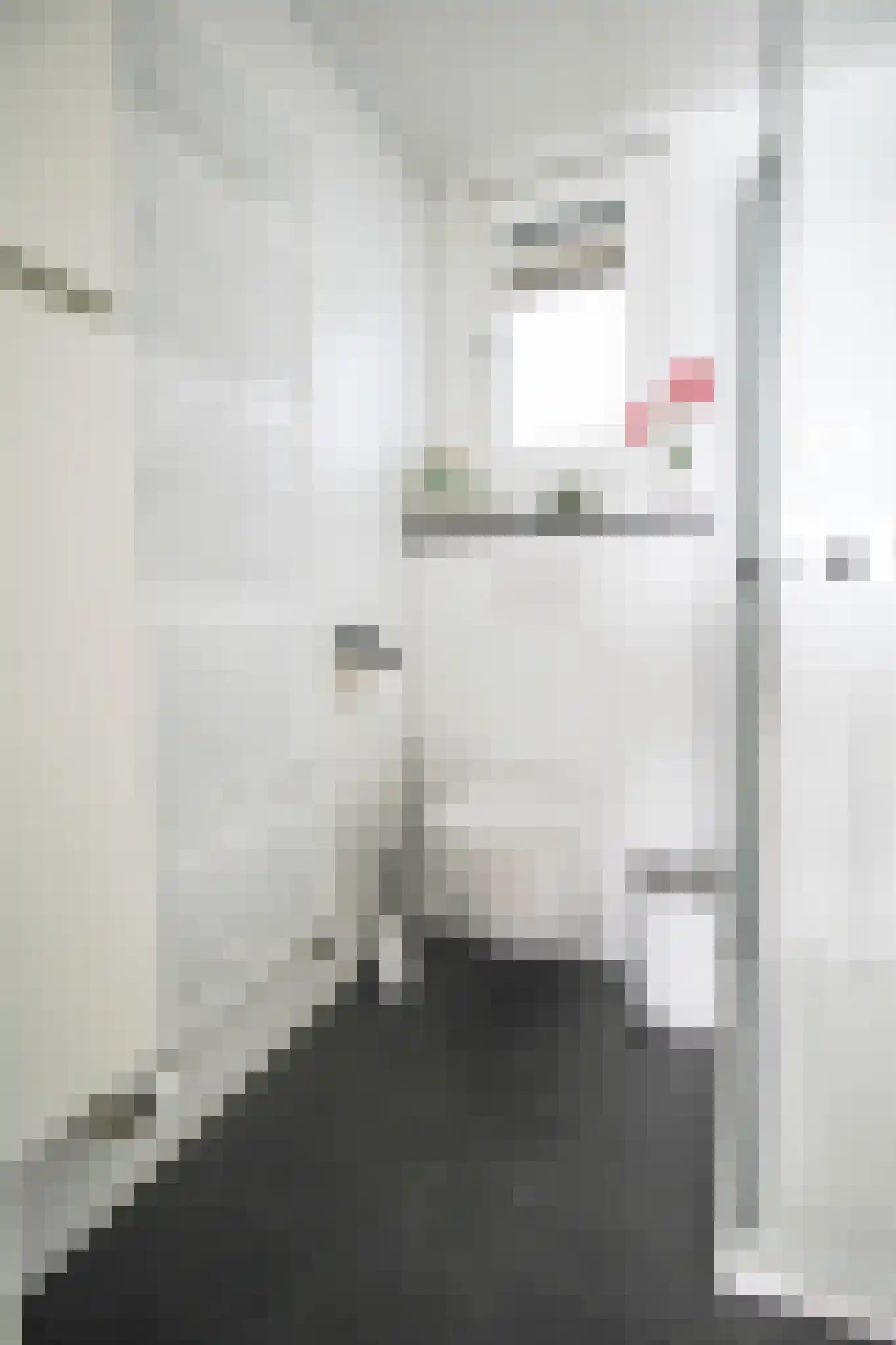 Harremaatweg 46 26 Voorthuizen thumbnail 22