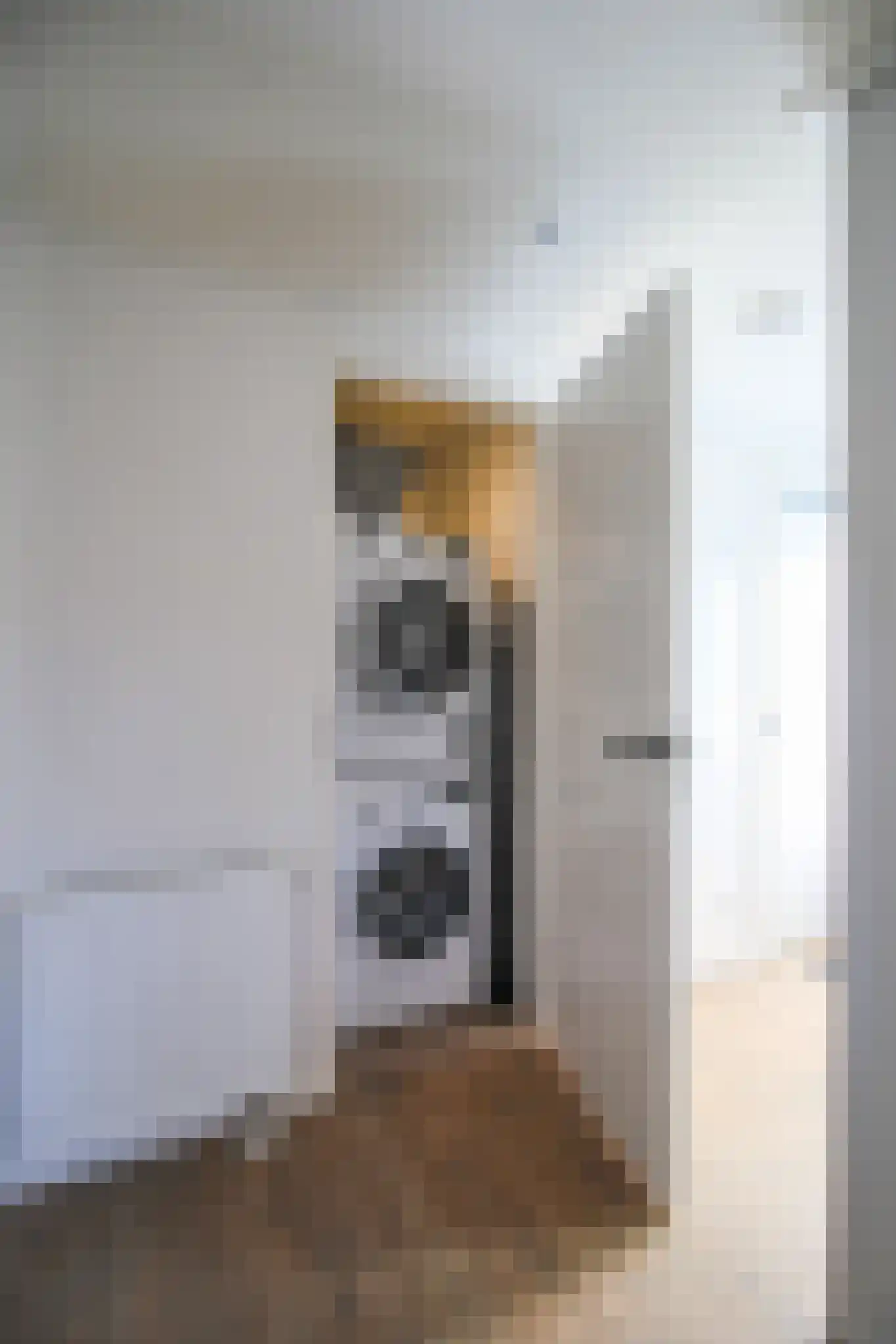 Harremaatweg 46 26 Voorthuizen thumbnail 26